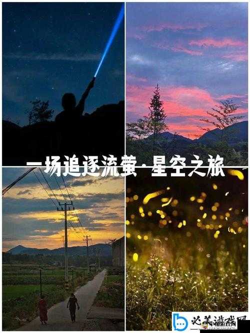 麻花星空无限传媒有限公司：开启创意与梦想的无限之旅