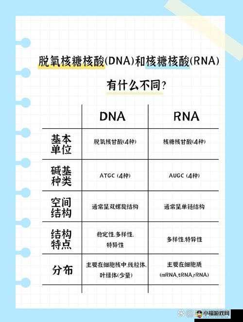 rna 与 dna 杂交过程之研究与探讨及其重要意义和应用前景